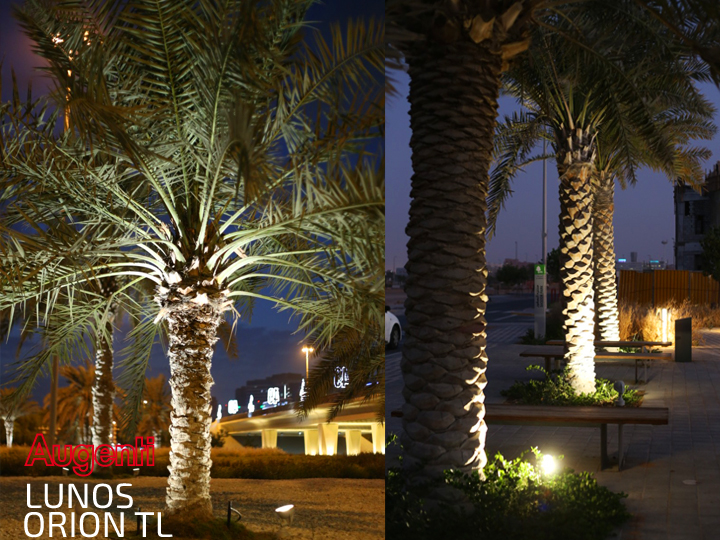 Abu Dhabi: Hudayriyat Leisure and Entertainment District –Bike Park-