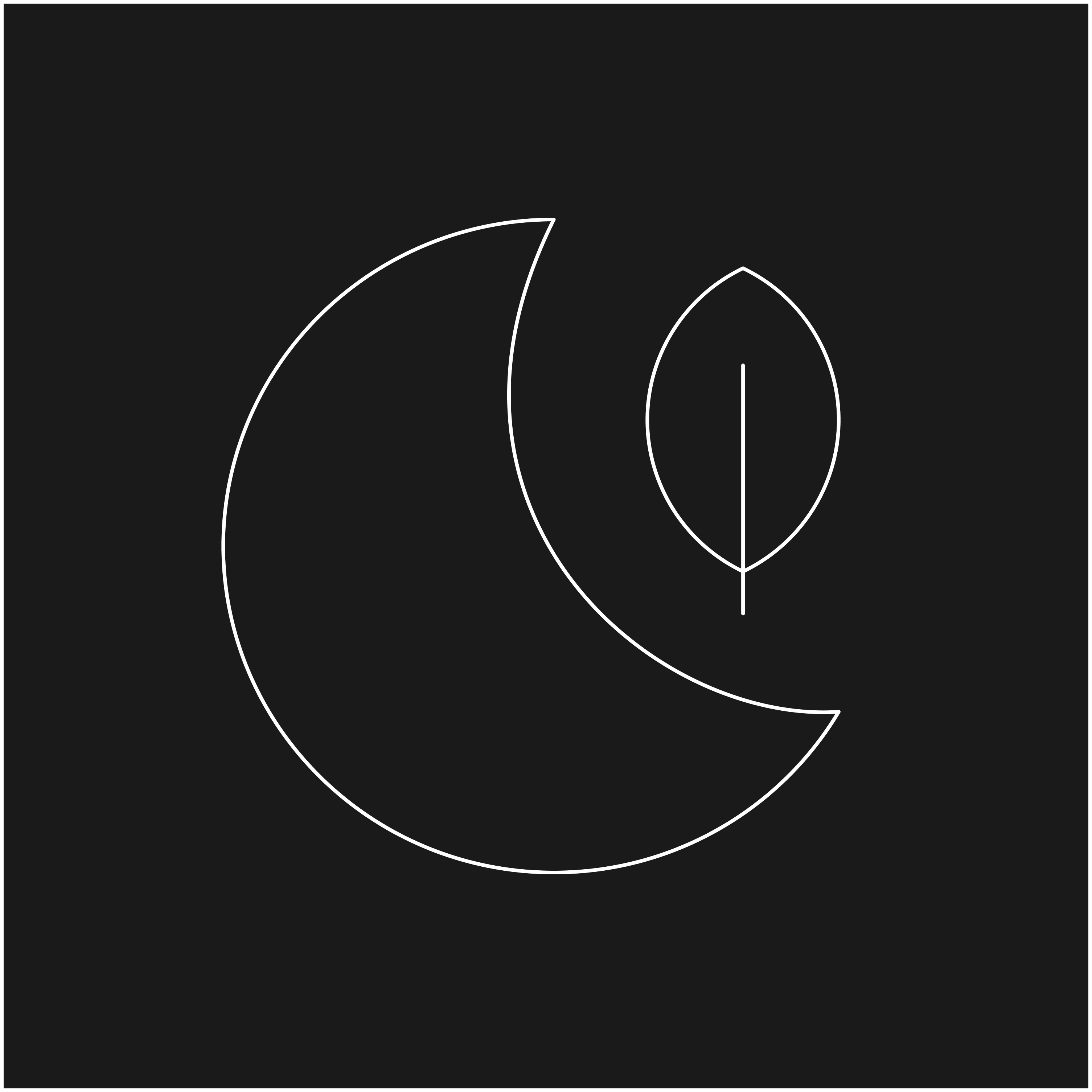 Sustainable outdoor lighting